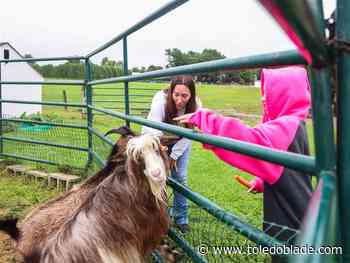 Furever Sunny market helps support sanctuary animals