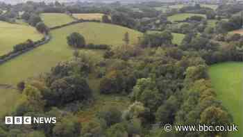 Nature reserve to double in size, thanks to gift