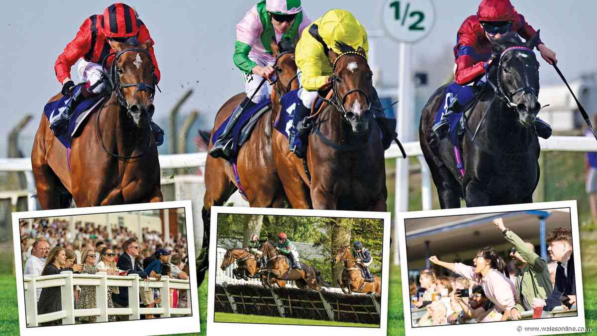 Free autumn horse racing tickets to give away with Arena Racing Company