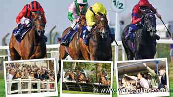 Free autumn horse racing tickets to give away with Arena Racing Company