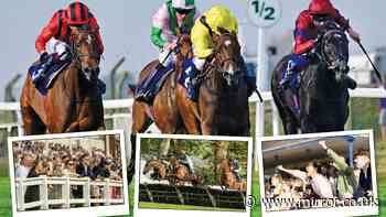 Free autumn horse racing tickets to give away with Arena Racing Company