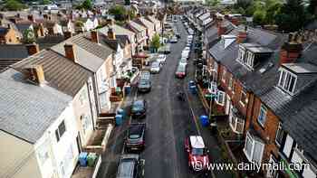 'They should rename it HMO street': Frustrated residents accuse 'greedy' landlords of ruining their road by converting their properties into shared homes
