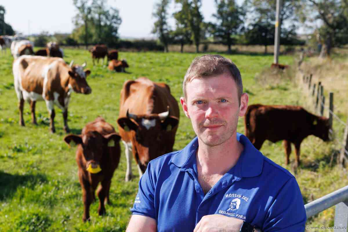 England and Wales look to Scotland as drought puts pressure on milk supplies