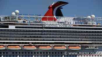 Carnival cruise ship passenger 'jumps overboard' as urgent coastguard search launched