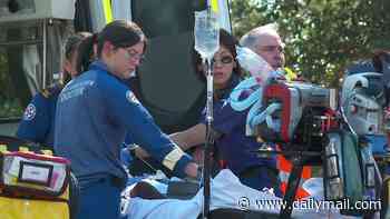 Tragic development after child is stabbed to death and two critically injured in the Blue Mountains - as mum is confirmed as suspect