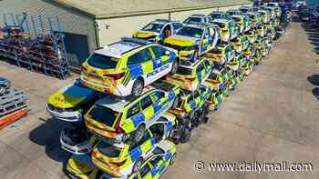 Dozens of smashed police vehicles line scrapyard with wall of wrecks stacked four high