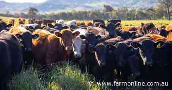 Regenerative farm management drives Bibbaringa outstanding performance