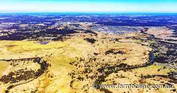 Australia's most expensive cattle farm up for grabs at $384,404/acre
