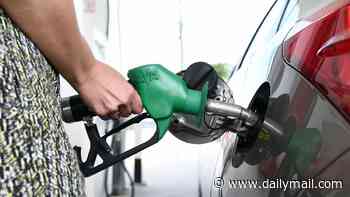 Fresh blow for Aussie drivers as petrol prices surge across five biggest cities and Canberra rules out fuel tax relief