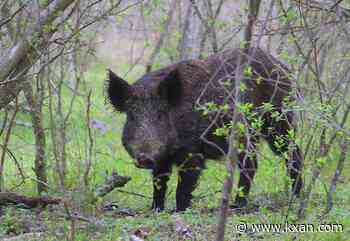 Wildfire risk during the hunting season