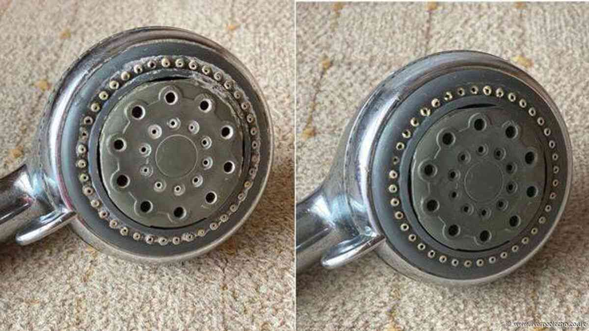 I cleaned limescale on my shower head in 10 minutes with better than vinegar natural item