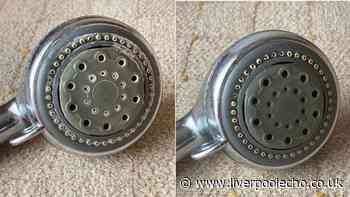 I cleaned limescale on my shower head in 10 minutes with better than vinegar natural item
