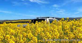 High demand drives new broadacre cropping options to the SA sales market