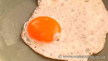 Fried eggs are better if you ditch olive oil and butter for 1 simple ingredient chefs love