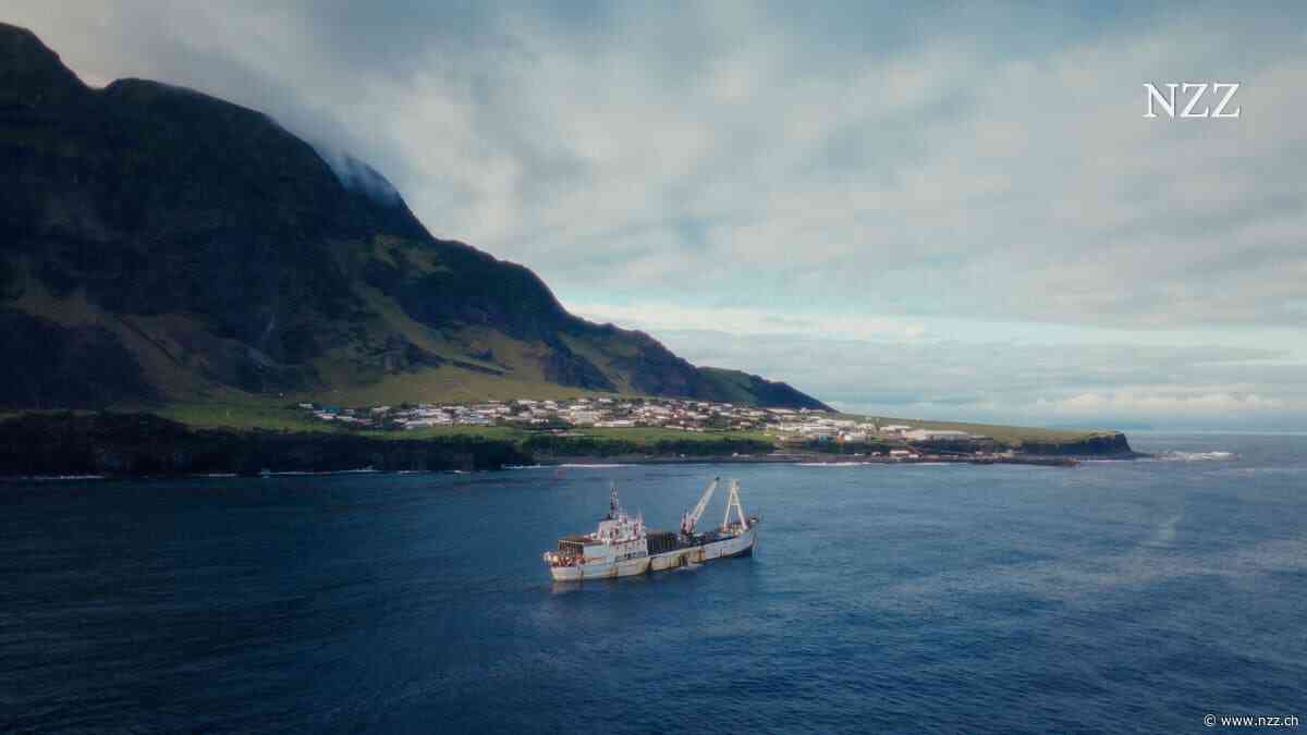 Jeder braucht seine Insel, klar. Die Frage ist nur, wen die Insel braucht
