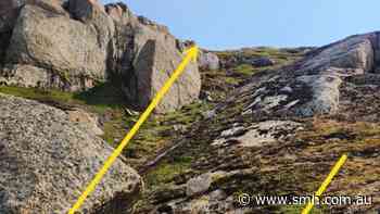 Dalaroo cracks geological code to Greenland rare earths
