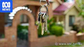 Australia has 250,000 fewer young home owners, report shows