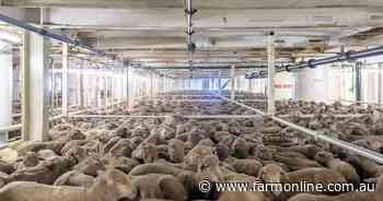 Petition to ban all live export brushed aside by Parliament: here's why