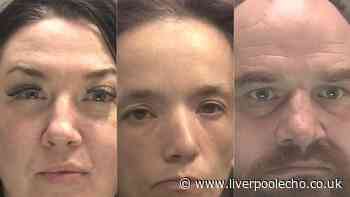 Killer mum, burglar who blamed his dog and Airbnb sex offender jailed