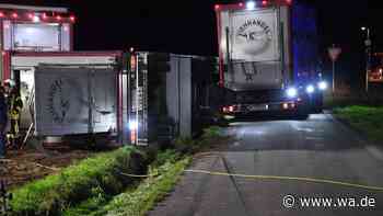 Schweinetransporter mit 80 Tieren kippt um – mehrere sterben, Straße gesperrt