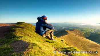 Hiker reaches top of Pen y Fan with dog and her reaction is priceless