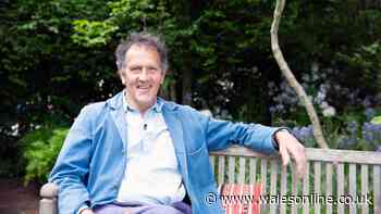 Monty Don says September is the time to plant one thing for the best results next year