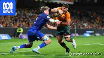 Wallabies eye Springboks scalp amid Dockers frenzy in Perth