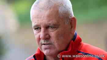 Six Nations star turned down Warren Gatland at 17 before shock Lions call