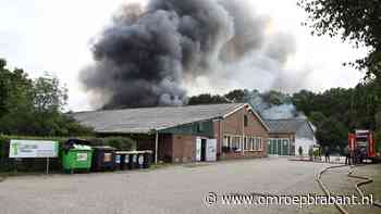 Meerdere loodsen in brand in Overloon, rook trekt over A73