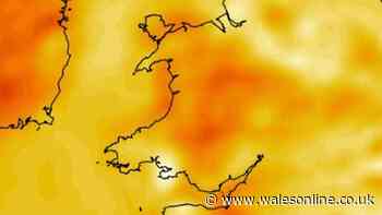Met Office weather maps show how hot it will be in Wales this week - and there's a nasty surprise