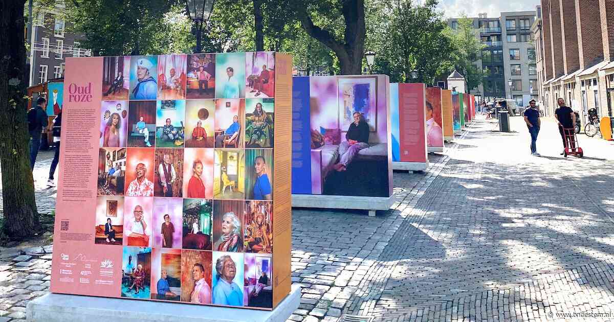Expositie OUDROZE is te zien in Bravis Roosendaal