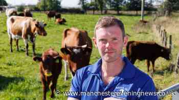 UK milk supplies hit by 'serious' issues as dairy industry sees 1.24 million litre shortfall