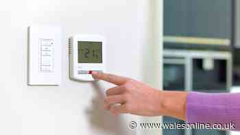 Energy company settles debate over when to turn central heating back on