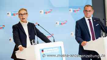 AfD blickt nach Siegen im Osten gen Süden – und findet radikale „Schwesternpartei“