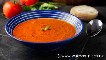 Mary Berry's 10-minute tomato soup recipe is a 'family favourite' — no peeling or chopping needed