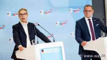 AfD blickt nach Siegen im Osten gen Süden – und findet radikale „Schwesternpartei“
