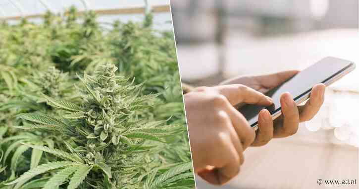 Drie tekenfilmpjes zorgden voor vertraging: grootschalige drugszaak met 32 beklaagden gaat van start