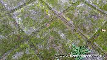 Stop using pressure washers to clean patios as £2.99 Home Bargains cleaner works better