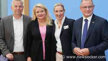 AfD na verlies CDU bij verkiezingen: ’Merz dit jaar nog weg’