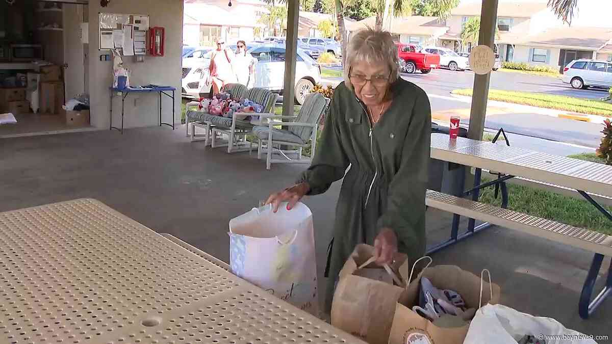 Pinellas County woman supports foster children through neighborhood donations