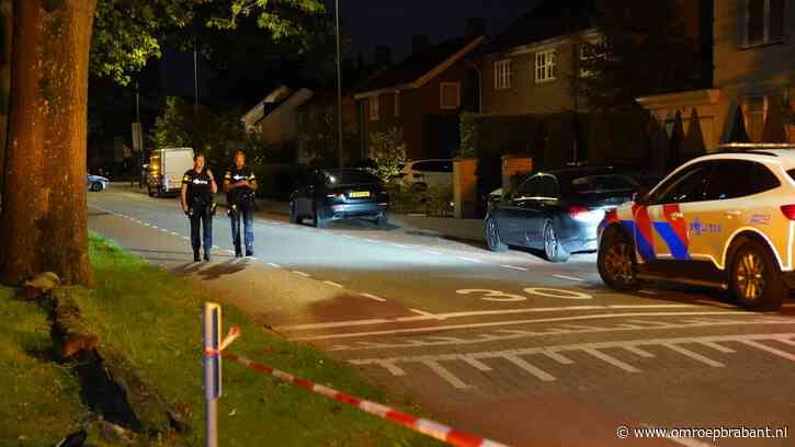 Vechtpartij in Rosmalen: schot gelost met alarmpistool