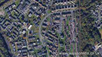 Police update after person allegedly 'threatened with crossbow' in Bridgend