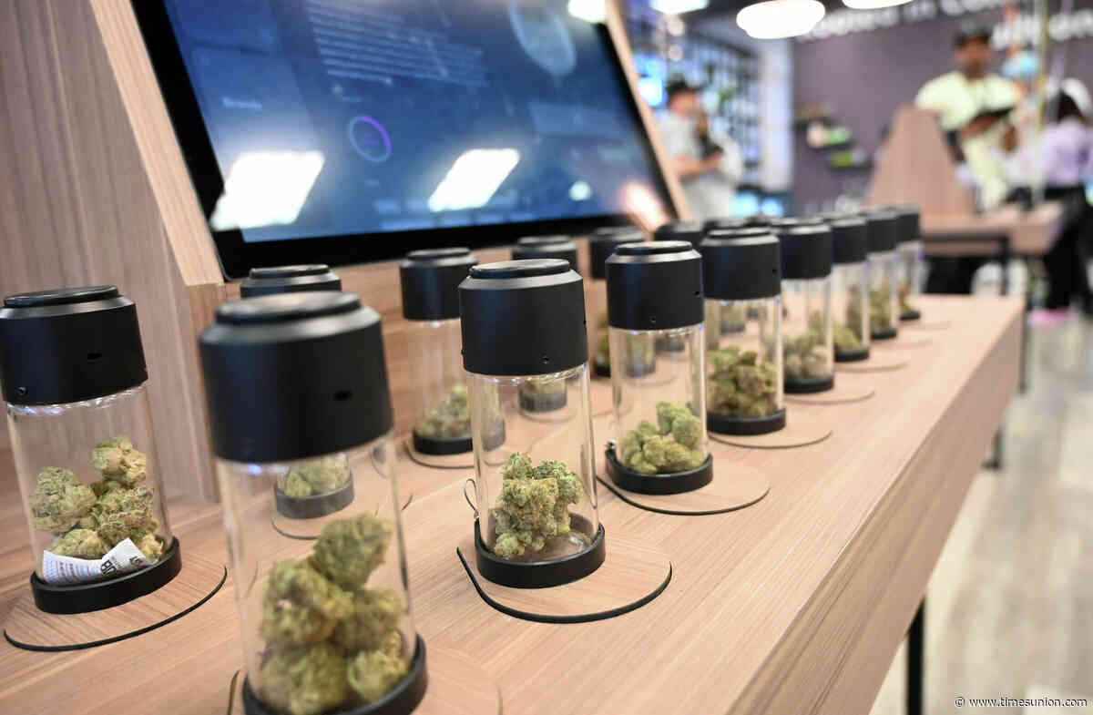Survey finds NY cannabis jobs pay more than other sectors