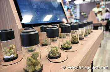 Survey finds NY cannabis jobs pay more than other sectors