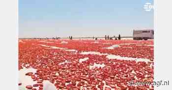 Turkse gedroogde tomaten voor EU-markt