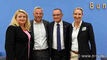 AfD rechnet mit Neuwahlen: Weidel beschimpft die CDU und will mit ihr reden
