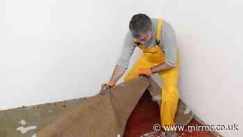 Couple pull up carpet in 1960s home and 'hit jackpot' – but there's 1 problem