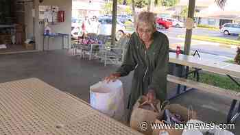 Pinellas County woman supports foster children through neighborhood donations
