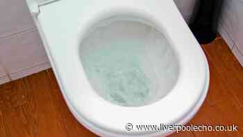 Remove toilet limescale overnight using 3p bathroom cupboard item — not bleach