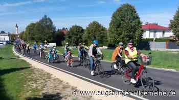 Demonstranten pochen auf mehr Sicherheit für Radfahrer in Pfaffenhofen